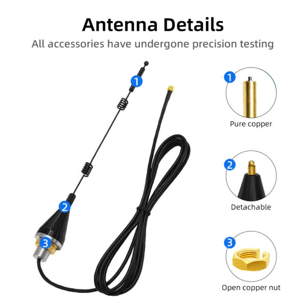 Spring (6)